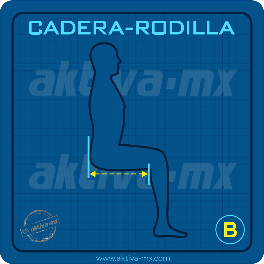 b cadera a rodilla